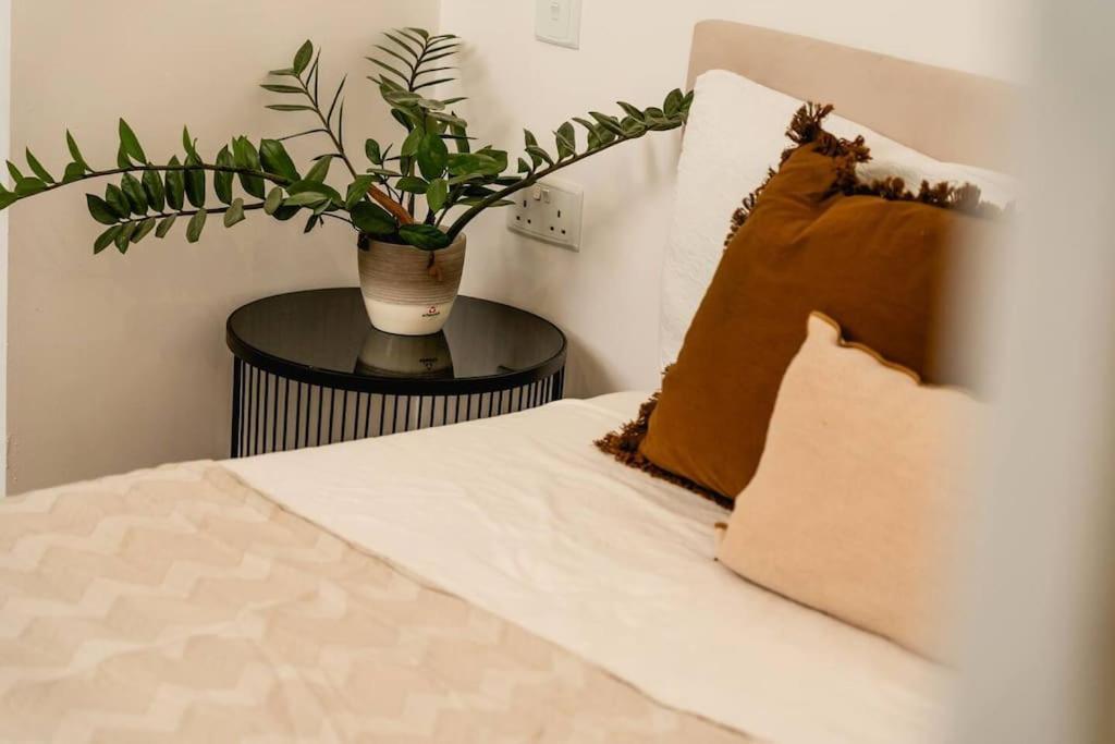 Luxurious & Stylish Penthouse With Private Pool Apartment มซิดา ภายนอก รูปภาพ
